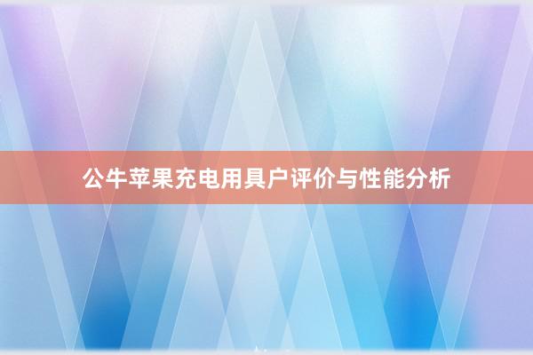 公牛苹果充电用具户评价与性能分析